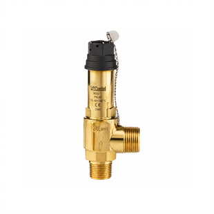 Запобіжний клапан Castel 3030/44C280 &mdash; 1/2" NPT &times; 3/4" G 00-00001010 фото